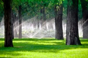 Irrigation and Fertilization: How To Utilize Both Efficiently