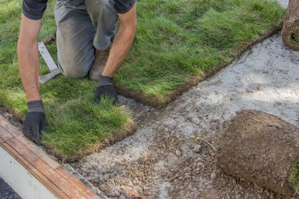 installing sod, lawn and sod Installation - photo by Zebrascapes