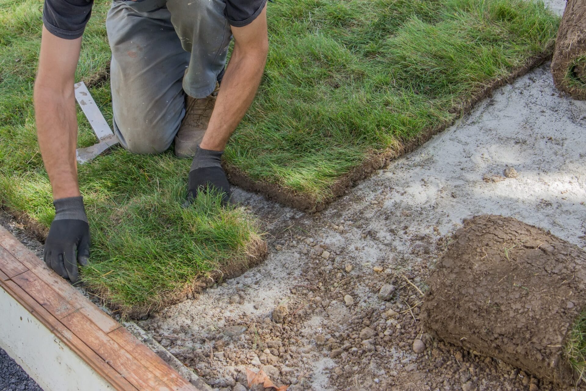 installing sod, lawn and sod Installation - photo by Zebrascapes