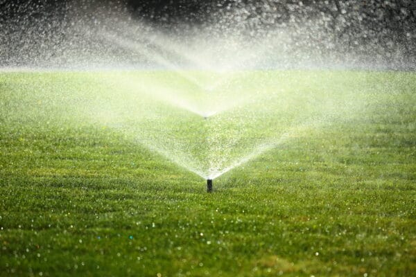 garden sprinkler on a sunny summer day during watering the green lawn