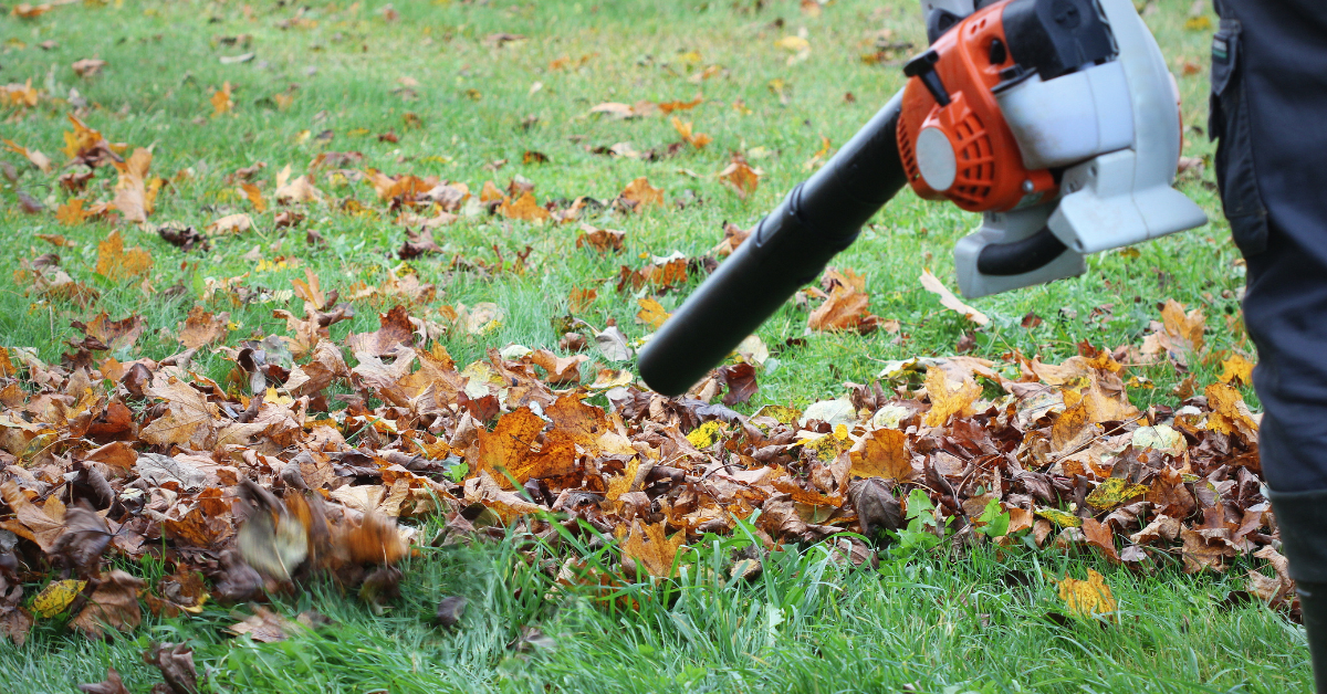 leaf-blower in action