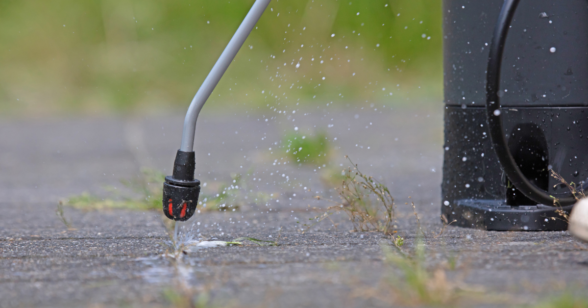a close up of weed control services (herbicides)