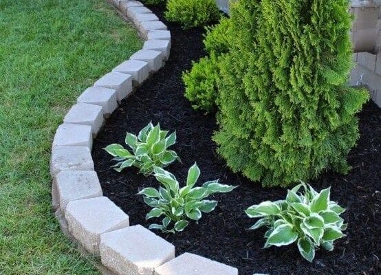 plant bed with mulch and local plants, photo by Zebrascapes