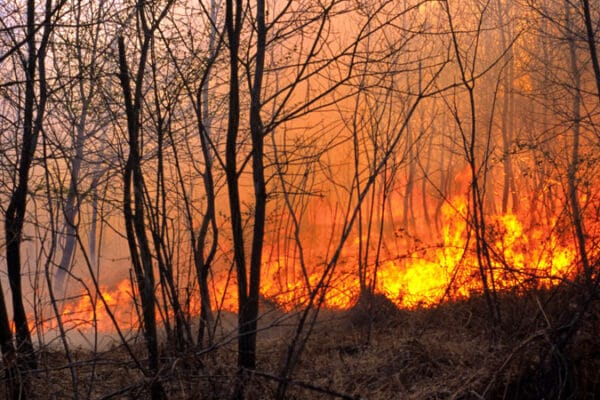 a desert wildfire in Northern AZ