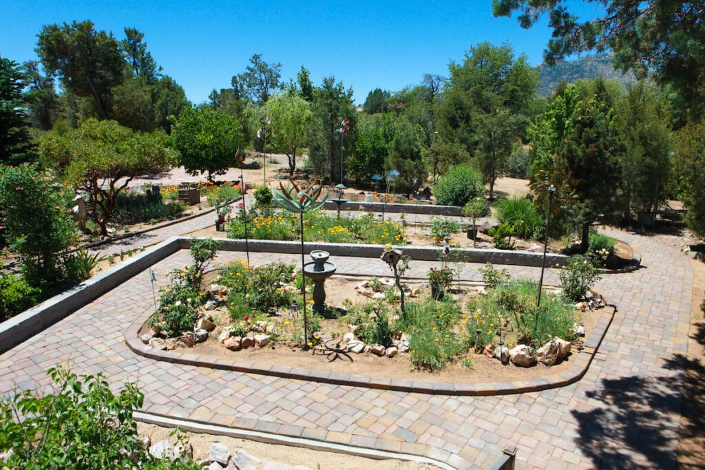 landscape installation by zebrascapes including native AZ plants and shrubs