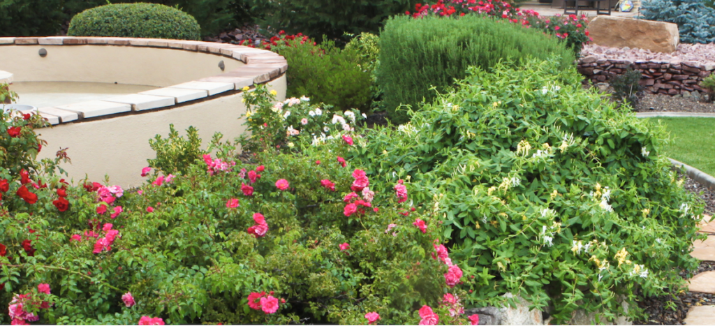 Finished Zebrascapes landscaping project featuring bright plants and flowers native to northern AZ