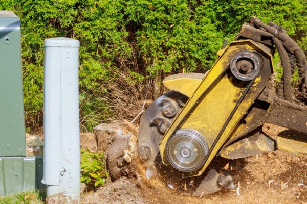 a stump-grinding machine at work