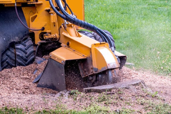 a close-up of a stump grinding machine at work