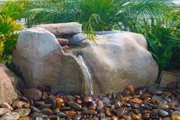 Close-up of a small water feature surrounded by native plants designed and installed by Zebrascapes
