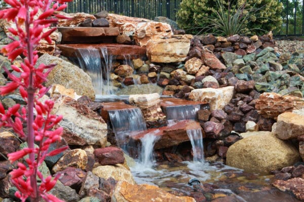 a water feature with native plants designed and installed by Zebrascapes landscaping
