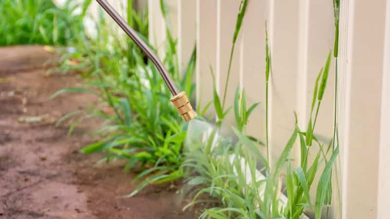 Zebrascapes post-emergent weed control services