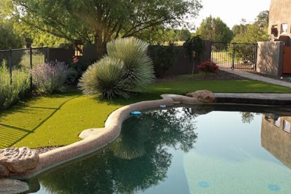 Pool with turf. Outdoor living spaces designed by Zebrascapes
