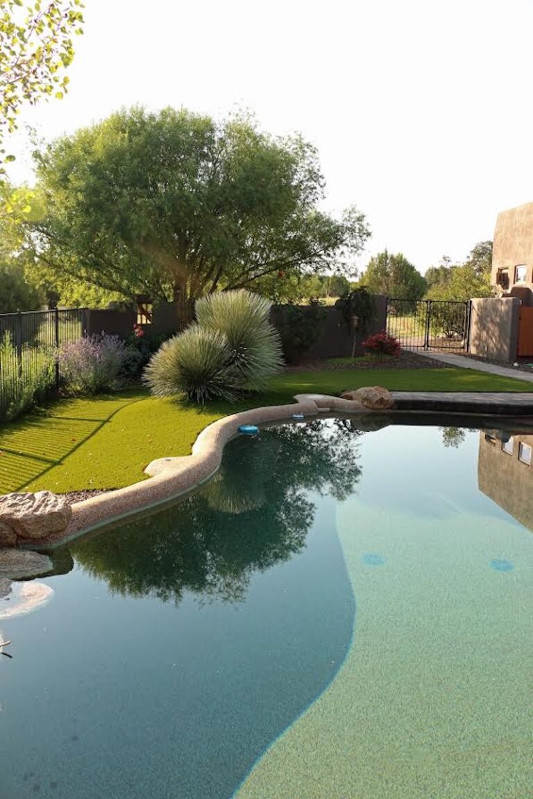 Pool with turf. Outdoor living spaces picture