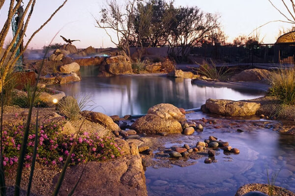 Zebrascapes residential pool design with natural rock and water feature