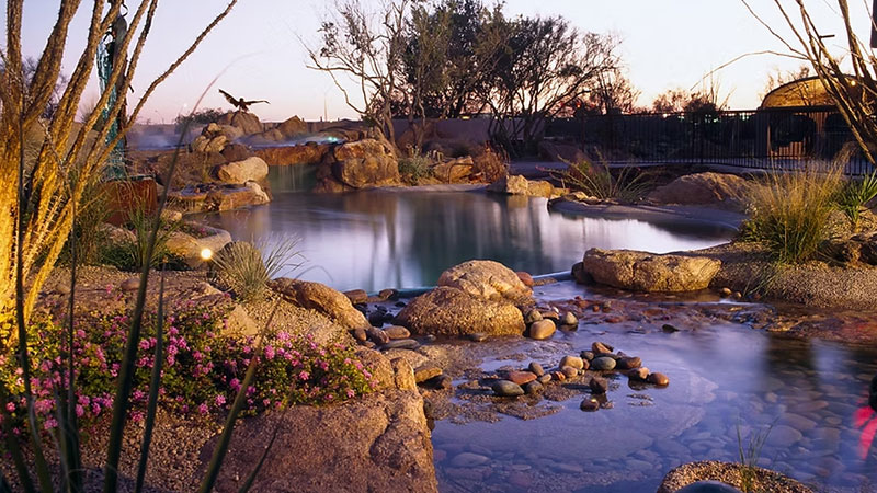 Zebrascapes residential pool design with natural rock and water feature