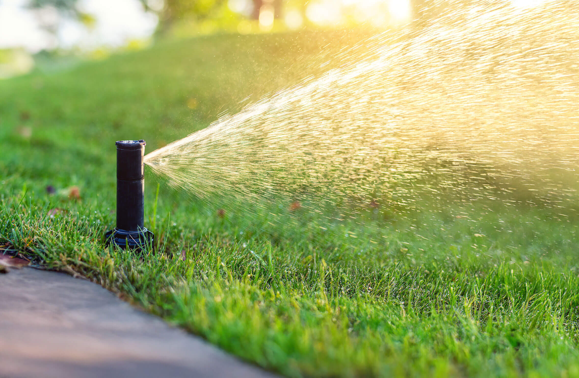 Zebrascapes irrigation services include installation and maintenance