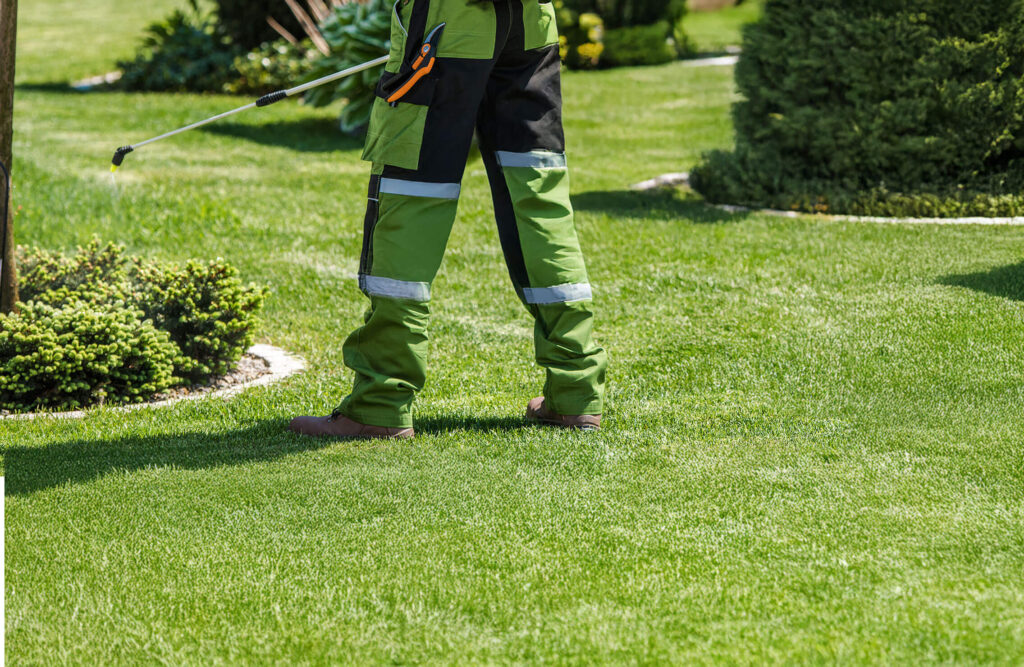 Landscaping professional applying pre-emergent weed control treatment Prescott