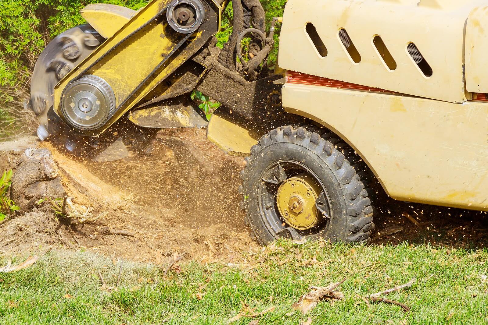 Zebrascapes Tree Stump Removal using machinery