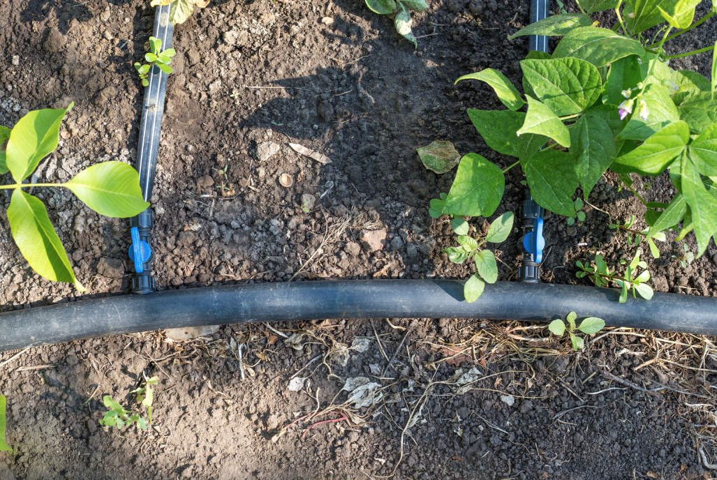 close up of a drip irrigation system