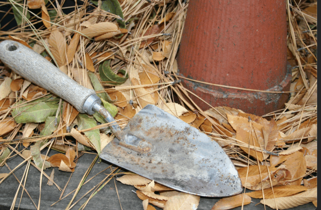 gardening tools amidst fall leaves on a sunny day