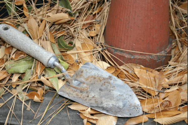 gardening tools amidst fall leaves on a sunny day