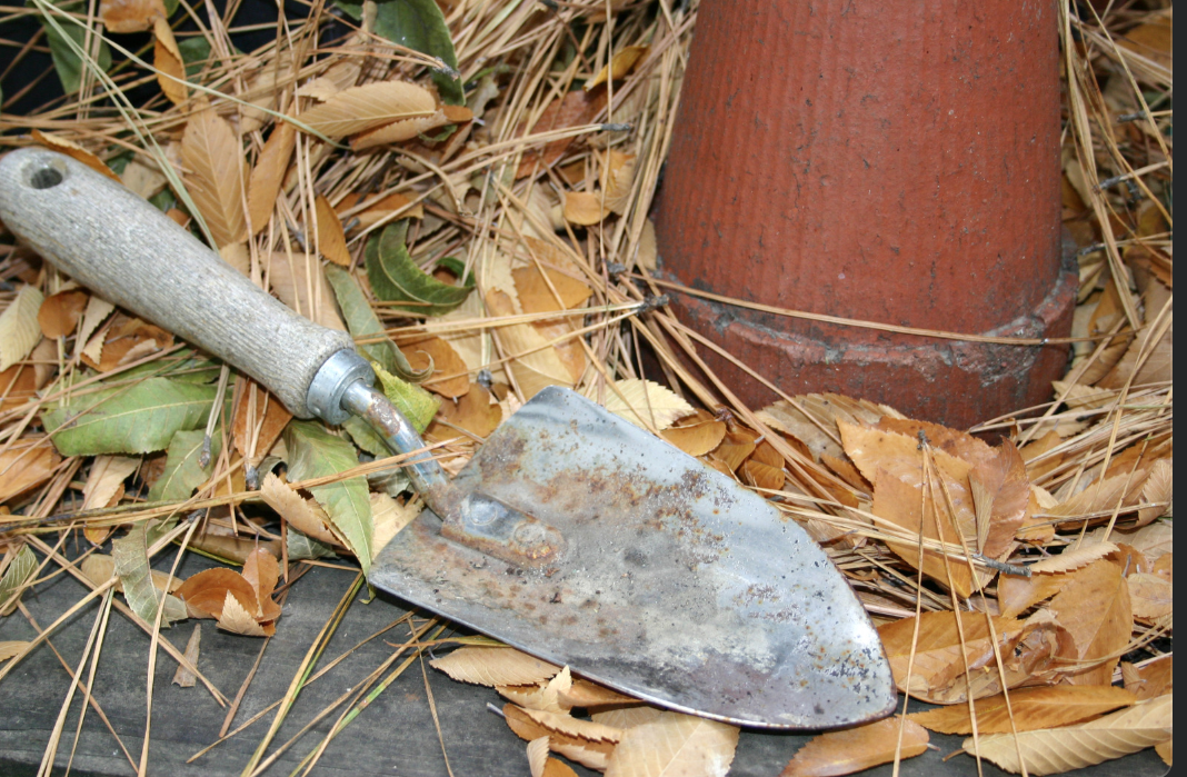gardening tools amidst fall leaves on a sunny day