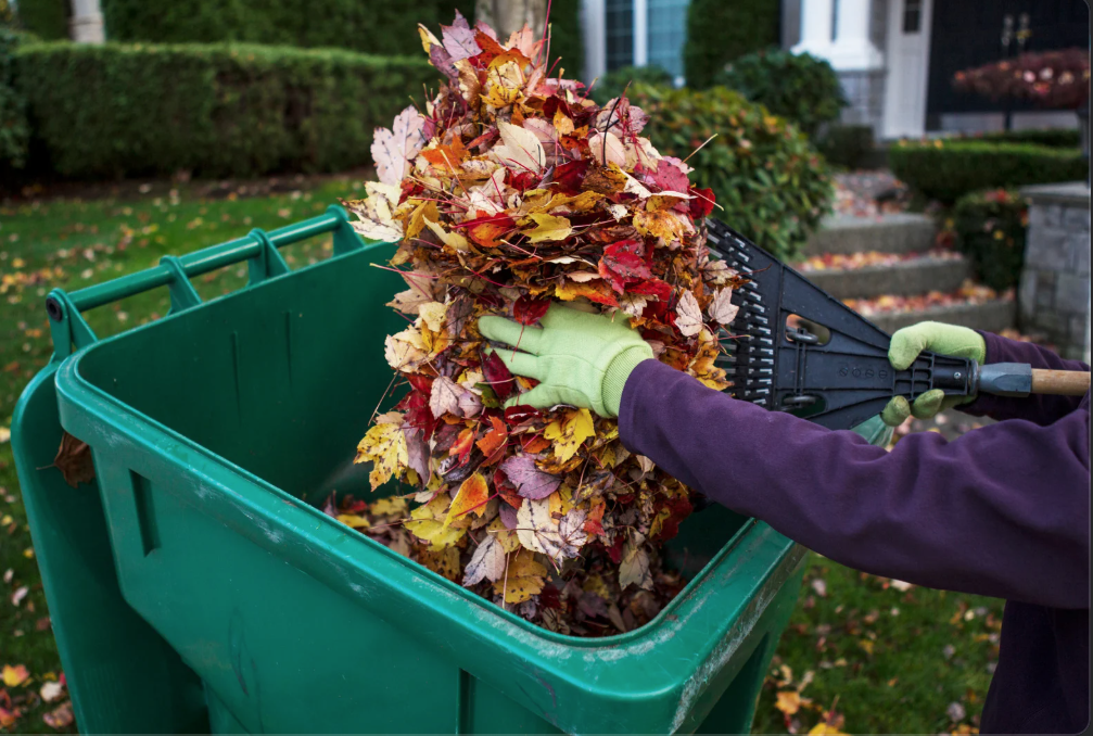 someone doing pre-holiday yard cleanup by putting leaves in compost bin