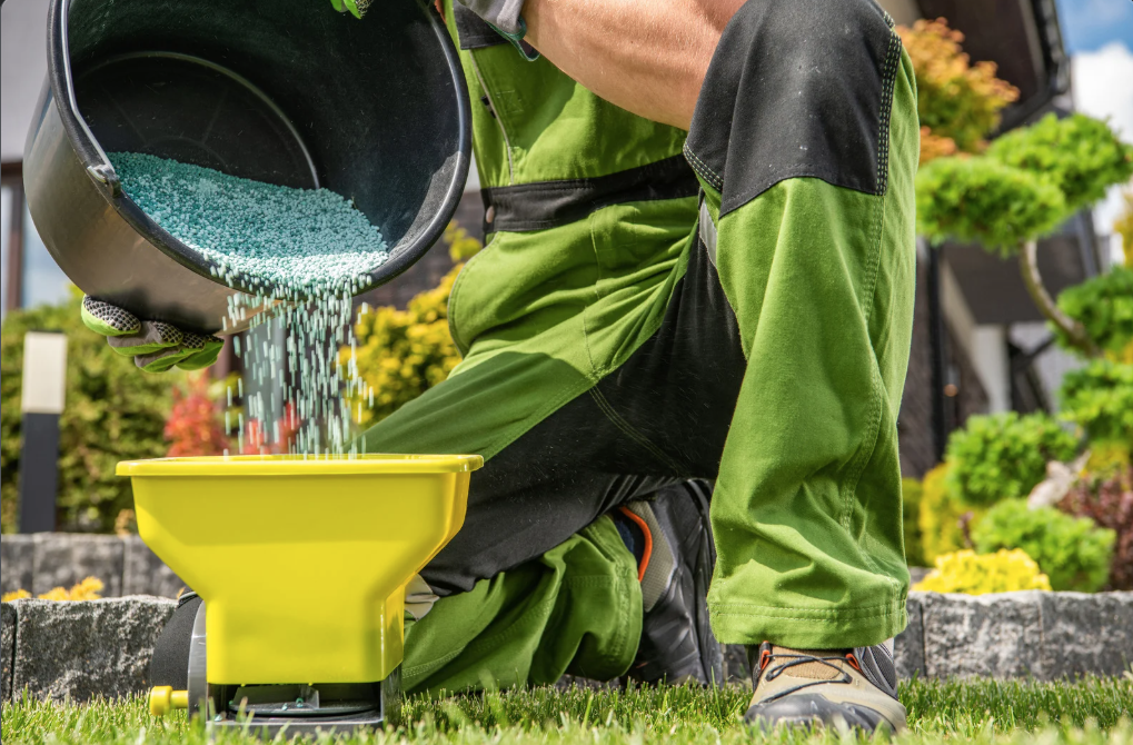 a close up of fertilizer being applied by a landscaping professional