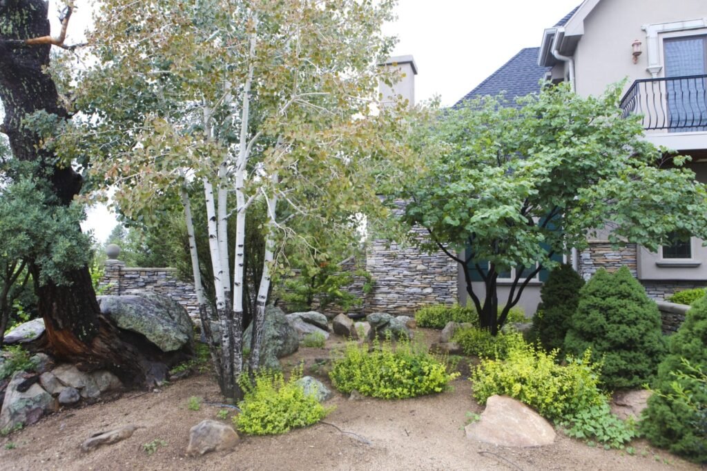 irrigation zebrascapes prescott az