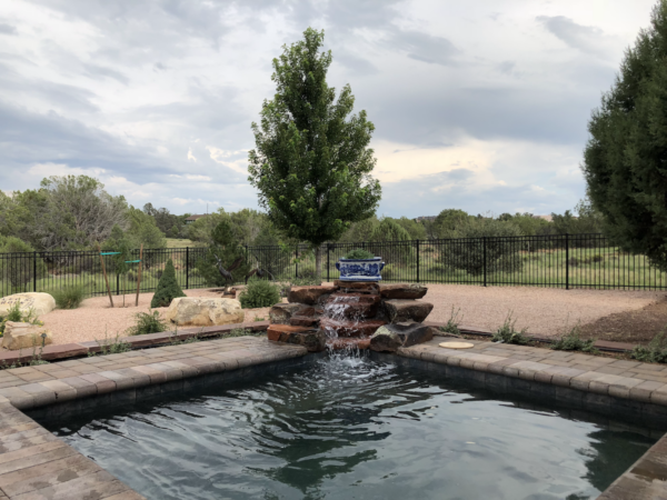 pool feature zebrascapes landscaping design prescott az