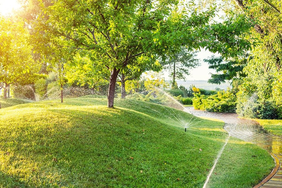 tree-irrigation-zebrascapes prescott az