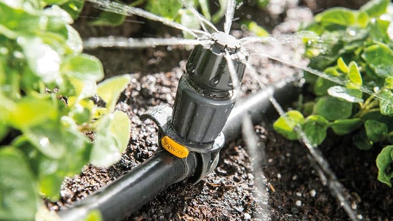 zebrascapes-irrigation-zebrascapes prescott az