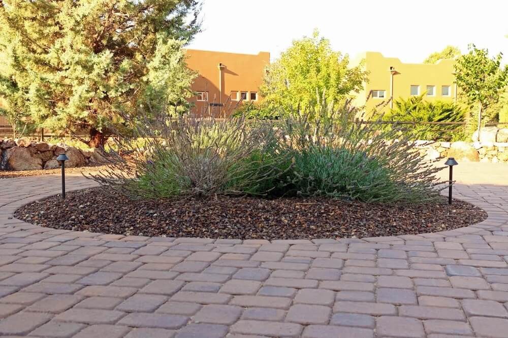 landscaping-services-garden-bed-zebrascapes-dewey-humboldt-az