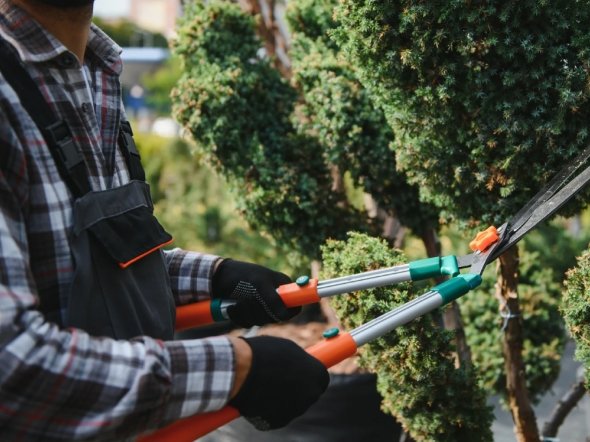 Zebrascapes Landscape Maintenance Services in Prescott Arizona